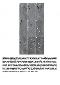 Suppl Figure 5 revision2.cdr - PLOS