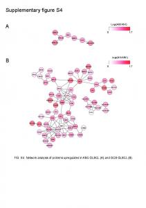 Supplementary Figure 4