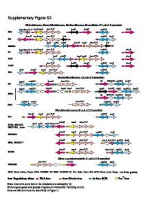 Supplementary Figure S2. - PLOS