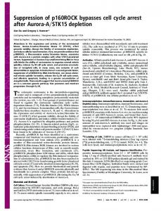 Suppression of p160ROCK bypasses cell cycle arrest after Aurora-A ...