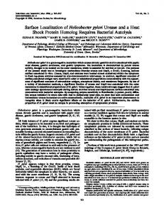 Surface Localization of Helicobacter pylori Urease and a Heat Shock ...