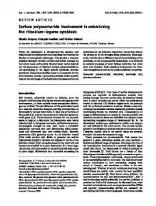 Surface polysaccharide involvement in ... - Wiley Online Library