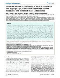 Surfactant Protein D Deficiency in Mice Is