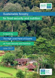 Sustainable forestry for food security and nutrition