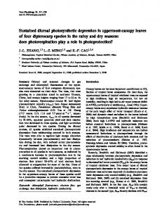 Sustained diurnal photosynthetic depression in ... - Oxford Journals