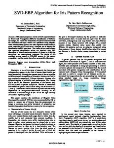 SVD-EBP Algorithm for Iris Pattern Recognition - The Science and ...