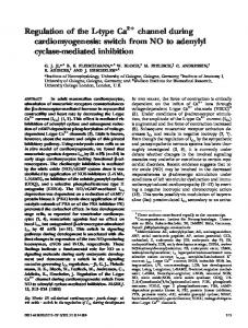 switch from NO to adenylyl cyclase-mediated ... - The FASEB Journal