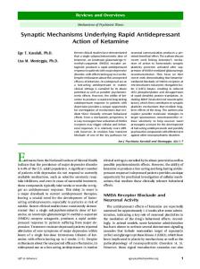 Synaptic Mechanisms Underlying Rapid