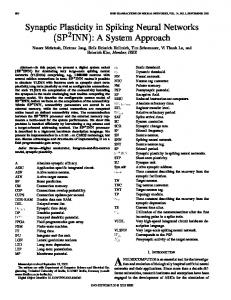 Synaptic plasticity in spiking neural networks