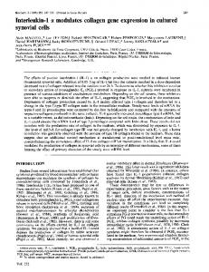 synovial cells - Europe PMC