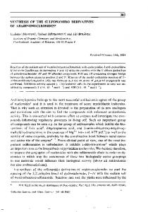 SYNTHESIS OF THE SULFONAMIDO DERIVATIVES