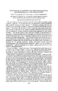 SYNTHESIS OF yG ANTIBODY AND ... - Europe PMC