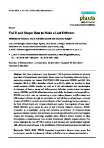 TALE and Shape: How to Make a Leaf Different - MDPI