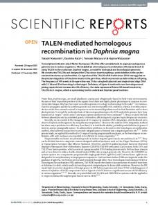 TALEN-mediated homologous recombination in Daphnia magna