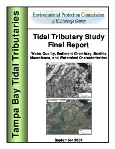 Tampa Bay Tidal Tributaries