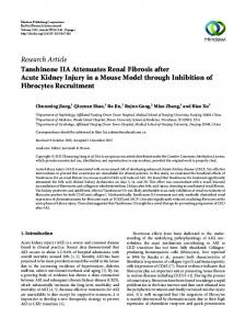 Tanshinone IIA Attenuates Renal Fibrosis after Acute Kidney Injury in ...