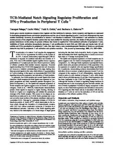 TCR-Mediated Notch Signaling Regulates - The Journal of Immunology