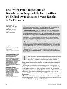 Technique of Percutaneous Nephrolithotomy ... - KoreaMed Synapse