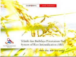 Tehnik dan Budidaya Penanaman Padi - System of Rice Intensification