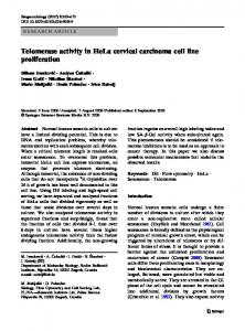 Telomerase activity in HeLa cervical carcinoma cell ... - Springer Link