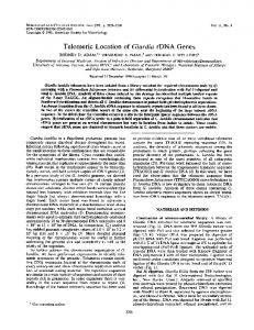 Telomeric Location of Giardia rDNA Genes - Molecular and Cellular ...