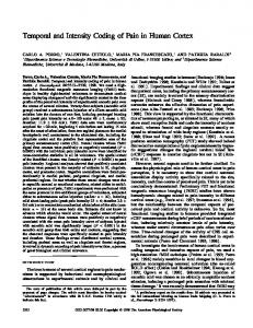 Temporal and Intensity Coding of Pain in Human Cortex