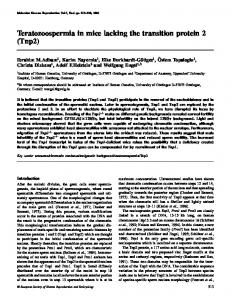 Teratozoospermia in mice lacking the transition ... - Semantic Scholar