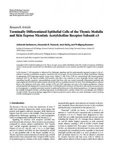 Terminally Differentiated Epithelial Cells of the Thymic Medulla and ...