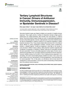 Tertiary Lymphoid Structures in Cancer - Semantic Scholar