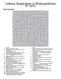 Test Review Crossword ANSWERS