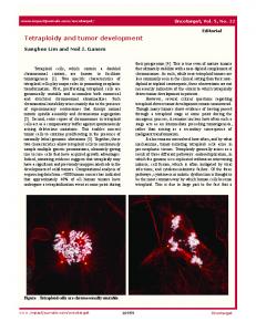 Tetraploidy and tumor development