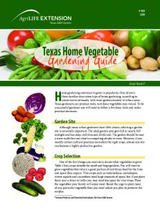 Texas Home Vegetable Gardening Guide