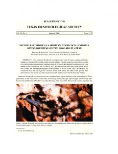 texas ornithological society