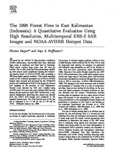 The 1998 Forest Fires in East Kalimantan (Indonesia) - Department of ...