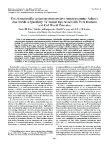 The Actinobacillus actinomycetemcomitans Autotransporter Adhesin ...