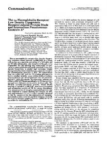 The alpha 2-macroglobulin receptor/low density lipoprotein receptor ...