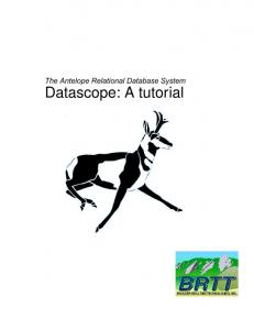 The Antelope Relational Database Management System