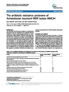 The antibiotic resistance proteome of Acinetobacter ... - Springer Link