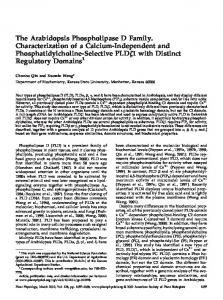 The Arabidopsis Phospholipase D Family ... - Plant Physiology