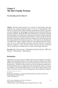 The Bcl-2 Family Proteins