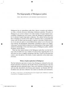 The biogeography of Madagascar palms