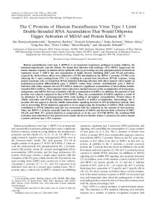 The C Proteins of Human Parainffuenza Virus ... - Journal of Virology