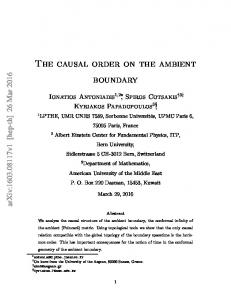 The causal order on the ambient boundary - arXiv