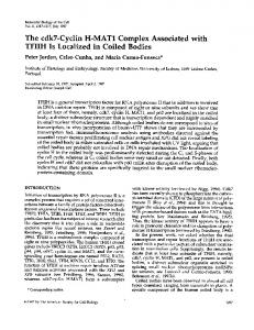 The cdk7-Cyclin H-MAT1 Complex Associated with - Europe PMC