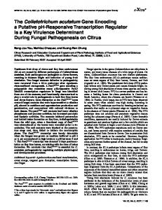 The Colletotrichum acutatum Gene Encoding a ... - APS Journals