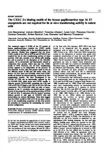 The CXXC Zn binding motifs of the human papillomavirus ... - Nature