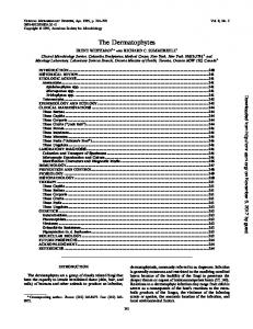 The Dermatophytes - Clinical Microbiology Reviews - American ...