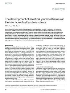 The development of intestinal lymphoid tissues at the ... - Nature