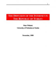 THE DIFFUSION OF THE INTERNET IN THE REPUBLIC OF TURKEY