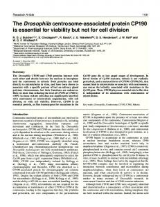 The Drosophila centrosome-associated protein CP190 is essential for ...